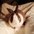 Pam Blue's profile image