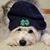 Emily Schlager's profile image