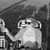 Elizabeth Doerr's profile image