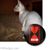 Cynthia Walden Sallee's profile image