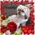 Marietta Quitangon's profile image