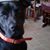 Debra Clark's profile image