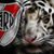Cacho De Jose Paz's profile image