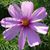 Lori Butler-Englert's profile image