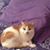 Jenny Beback's profile image