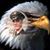 NEmalois Redsox's profile image