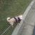 Squeek Diggidy's profile image