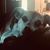 Marie Donaldson Ludt's profile image