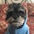 Ann Abbadessa Fotiades's profile image