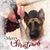 Patty Sipes Mekus's profile image