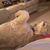 Carolyn Thiry's profile image