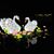 Cindy Allison Jackson's profile image