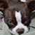 Gene LaNier's profile image