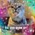 Sharla Ozias's profile image