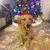 Kelly D. Dean's profile image