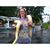 Peggy Hargis's profile image