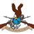 David Oihus's profile image