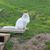 Dawn Glasgow's profile image