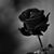 Gris Medina's profile image