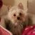 Cristy McDonald Musgrove's profile image