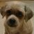 Janice Newville's profile image