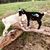 Michelle Totel-Riley's profile image