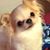 Carol Dean-Porter's profile image
