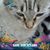 Fernanda Paulino's profile image