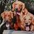 Jo Ann Daniel's profile image