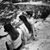 Marcella Donnelly's profile image