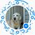 Diane Gasko's profile image