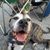 Diana Engstrom's profile image