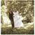 Amanda Randall's profile image
