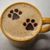 Linda Mosher Allen's profile image