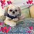 Gilda Shultz's profile image