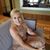 Wendy Frohlich Caldwell's profile image