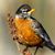 Kathy Richards Hobrock's profile image