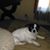 Kayanna Collins's profile image