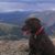 Tiffany Halle Mcelwee's profile image