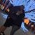 Tennille Urioste's profile image