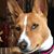 Christine Randazzo's profile image