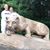 Deb Hornberger Blymire's profile image