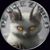 Michael Smale's profile image