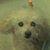 Tracy Ehmen-Patrick's profile image