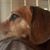 Alvarez Maria's profile image