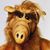 Brian Dewald's profile image