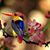 Sandi Earle's profile image