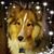 Connie Gereaux's profile image