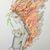 Jolene Hutton Wiley's profile image