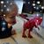 Patty Lund-Miscavage's profile image